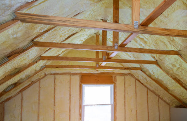Best Residential Insulation in Palmer Ranch, FL